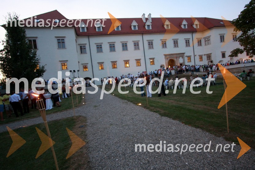 Grad NegovaSalon Traminec 2011