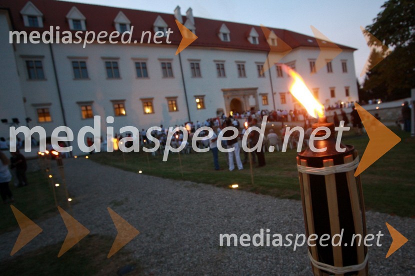 Grad NegovaSalon Traminec 2011