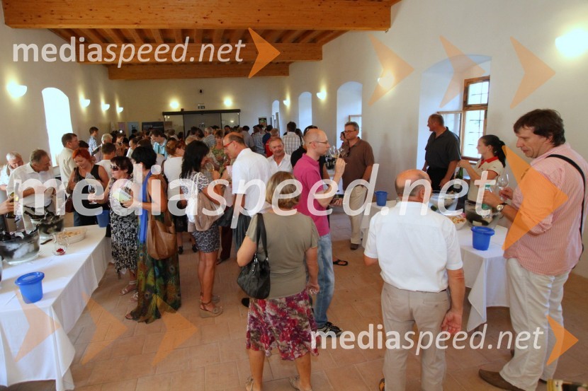 ObiskovalciSalon Traminec 2011