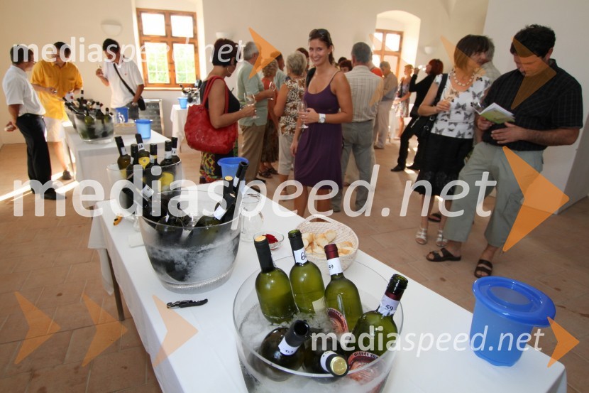 ObiskovalciSalon Traminec 2011