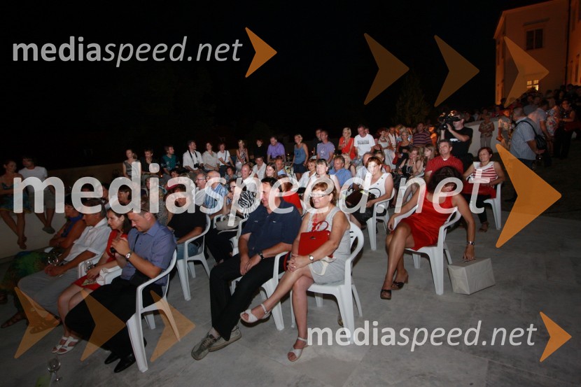 ObiskovalciSalon Traminec 2011