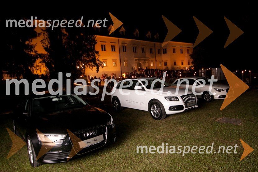 Grad NegovaSalon Traminec 2011