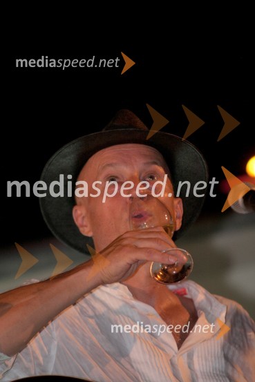 Vlado Kreslin, glasbenikSalon Traminec 2011