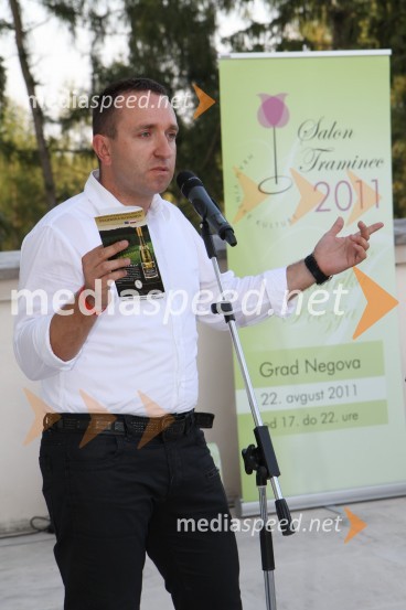 Borut Cvetko, MediaspeedSalon Traminec 2011