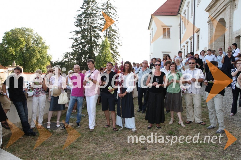 ObiskovalciSalon Traminec 2011