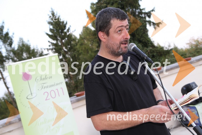 Ivo Stropnik, pesnikSalon Traminec 2011