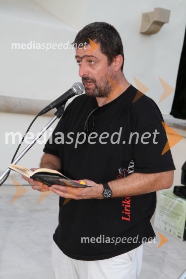 Ivo Stropnik, pesnikSalon Traminec 2011