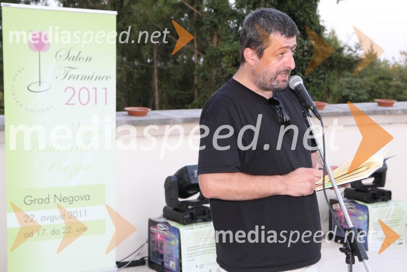 Ivo Stropnik, pesnikSalon Traminec 2011