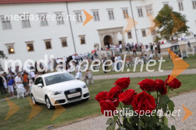 Grad NegovaSalon Traminec 2011