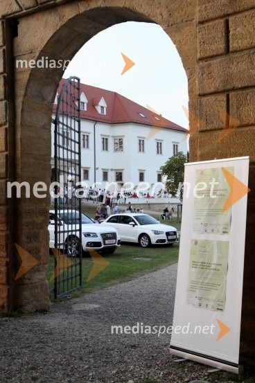 	Grad NegovaSalon Traminec 2011