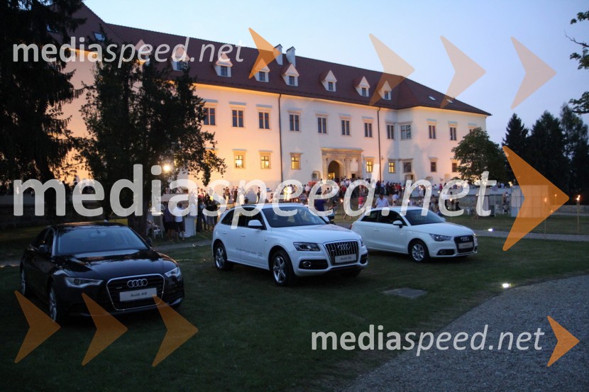 Grad NegovaSalon Traminec 2011