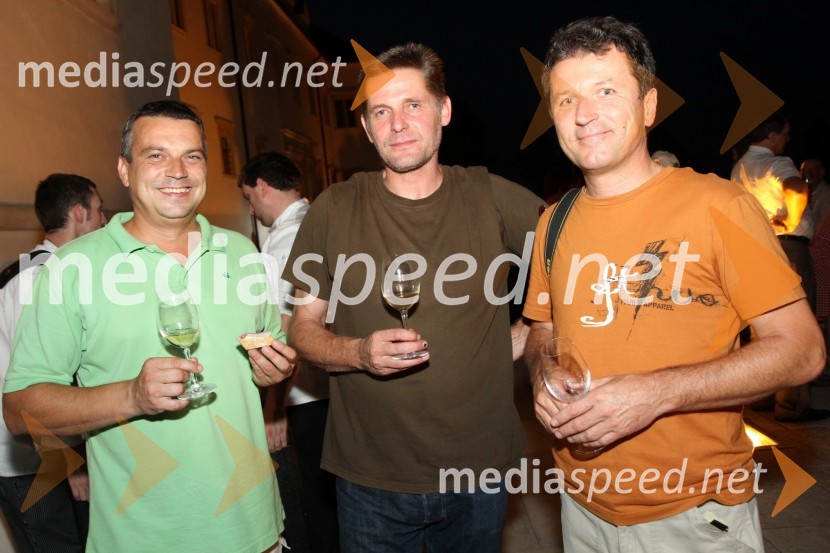 ..., ... in Uroš Mencinger, novinar Rad dobro jemSalon Traminec 2011