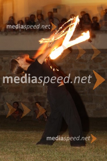Maja Črešnik, poulična umetnicaSalon Traminec 2011