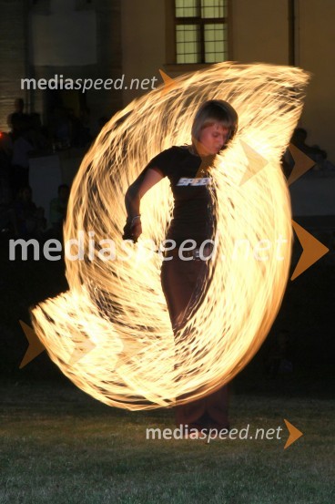 Neža Cigler, poulična umetnicaSalon Traminec 2011