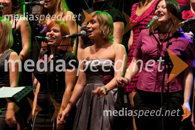 Perpetuum JazzilePerpetuum Jazzile in Vocal Six, koncert