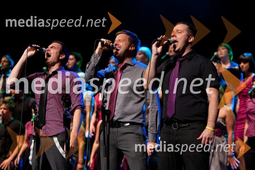 Perpetuum JazzilePerpetuum Jazzile in Vocal Six, koncert