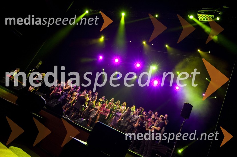 	Perpetuum JazzilePerpetuum Jazzile in Vocal Six, koncert
