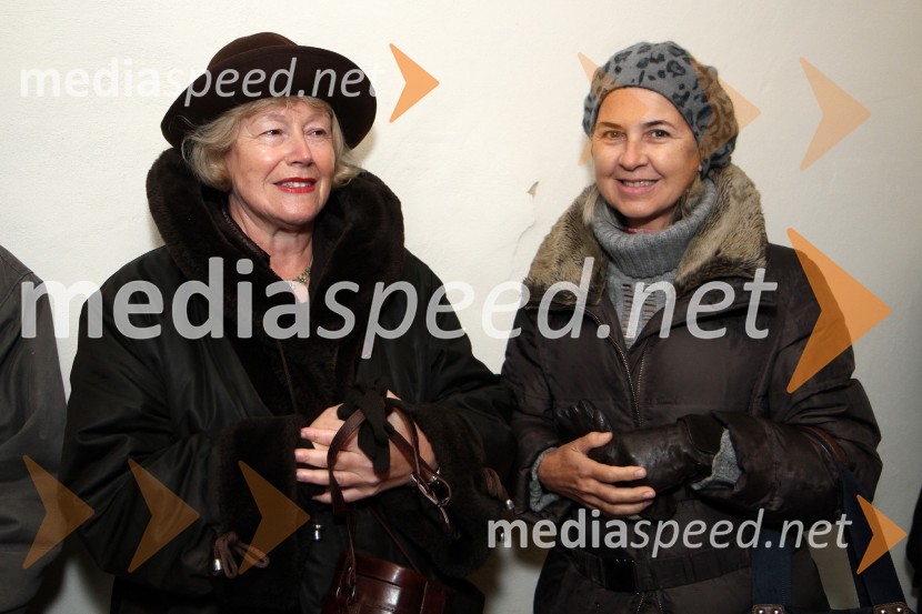 Maribor 2012, EPK - Mednarodni projekt Ane Pečar