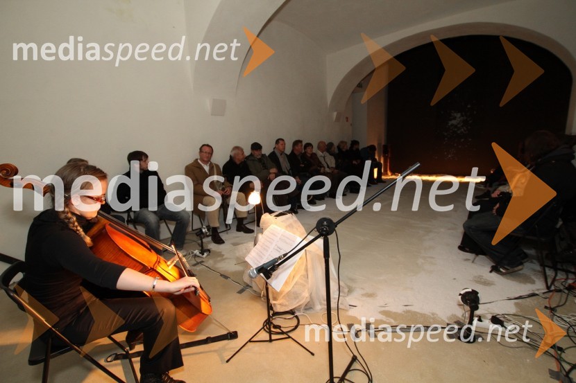 Ana KramerMaribor 2012, EPK - Mednarodni projekt Ane Pečar