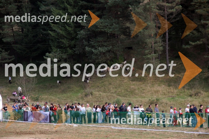 Ob progi niso manjkale niti kozeMOTOKROS, evropski pokal narodov 2006, Zarnesti, Romunija