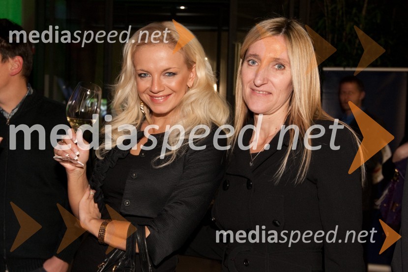 Katja Fašink, Studio Cat in Vida Dolenc Pogačnik, Ameriška gospodarska zbornicaAMCHAM, nogometno-poslovno srečanje pred tekmo Slovenija: ZDA