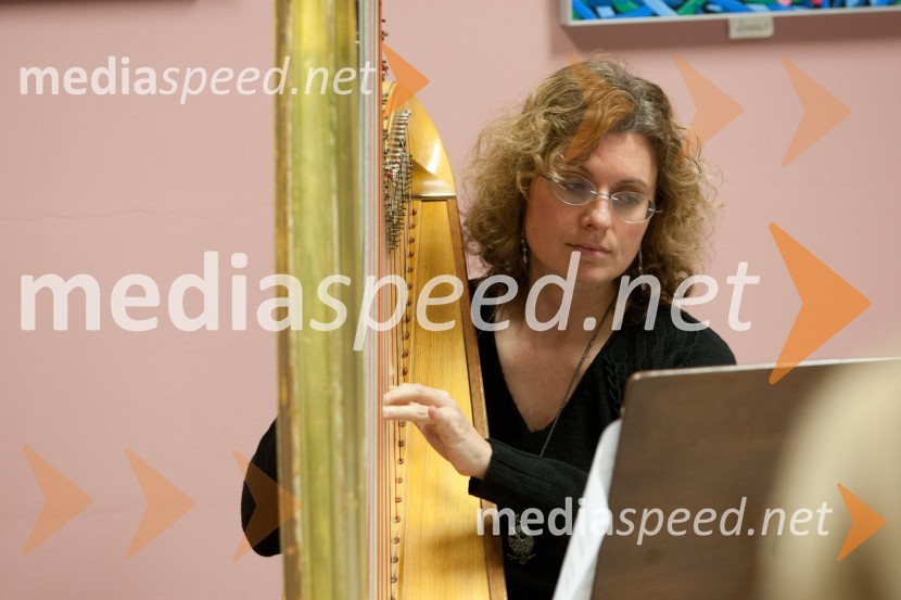 Mediaspeed - Predstavitev združenja Sila