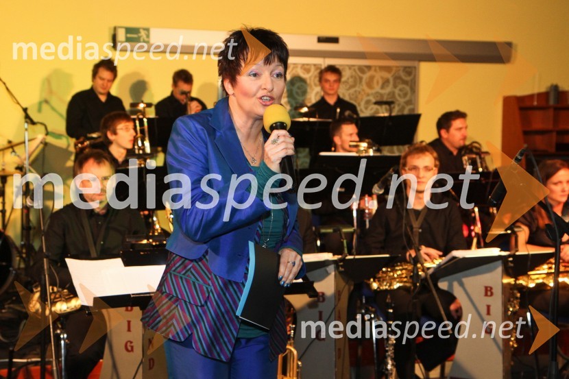 Irena Polak Fištravec4. Dobrodelni Miklavžev koncert Big Banda Glasbene šole Gornja Radgona z Nušo Derenda