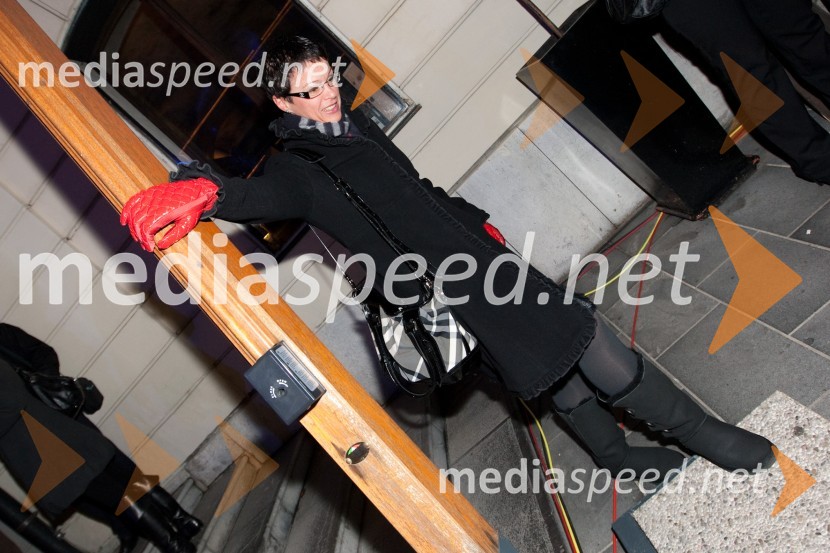 Mediaspeed Volitve 2011 vzdušje v štabu stranke Lista Zorana