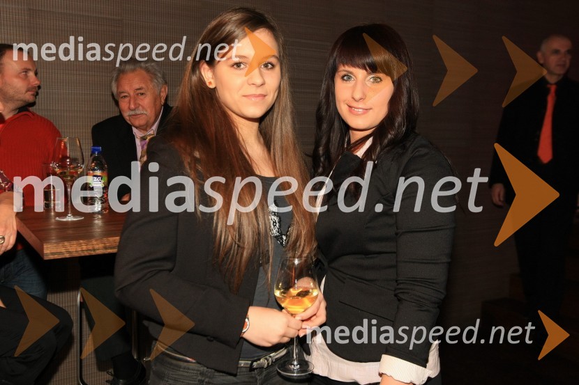 Mediaspeed zabava 2012