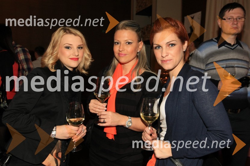 Mediaspeed zabava 2012