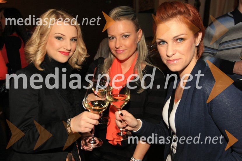 Mediaspeed zabava 2012