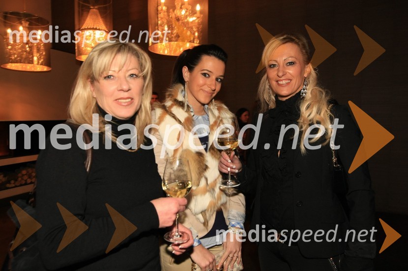 Mediaspeed zabava 2012