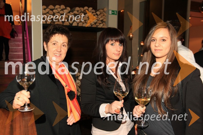 Mediaspeed zabava 2012