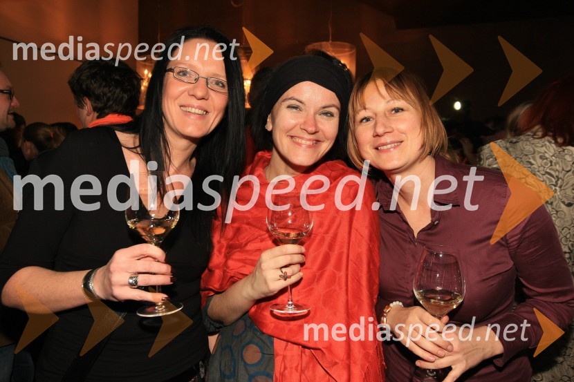 Mediaspeed zabava 2012
