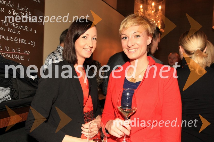 Mediaspeed zabava 2012