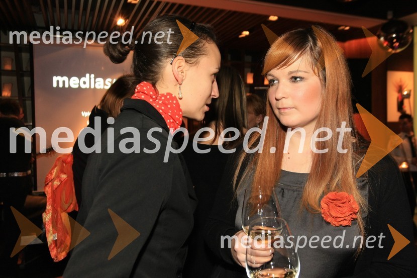 Mediaspeed zabava 2012