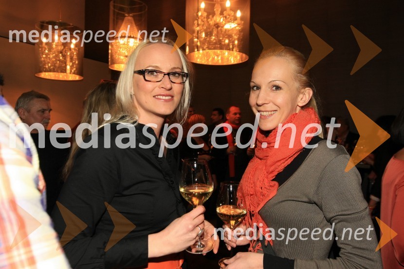 Mediaspeed zabava 2012