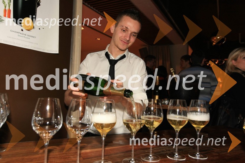Mediaspeed zabava 2012