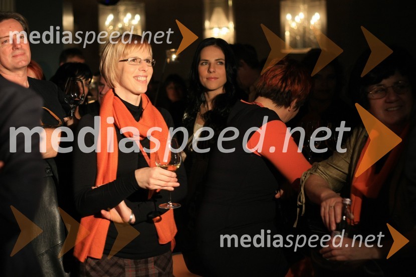 Mediaspeed zabava 2012
