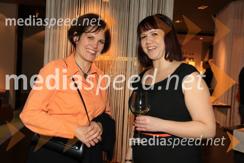 Mediaspeed zabava 2012