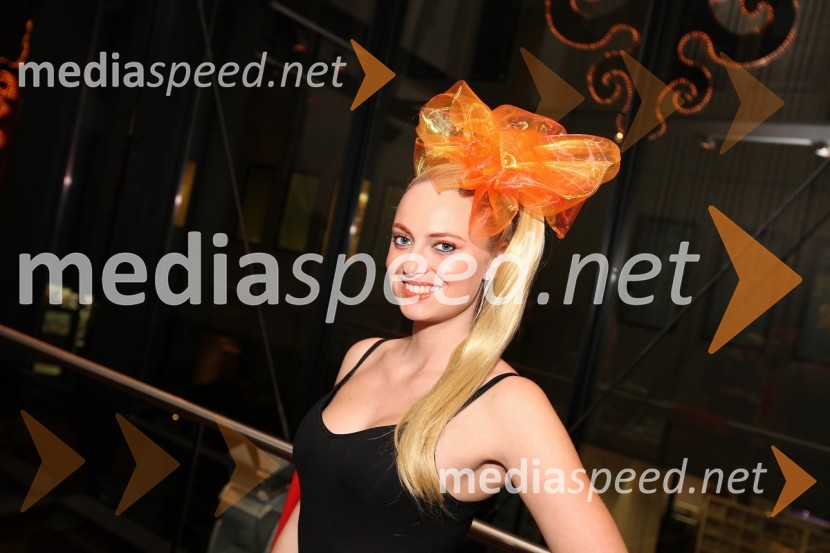 Mediaspeed zabava 2012