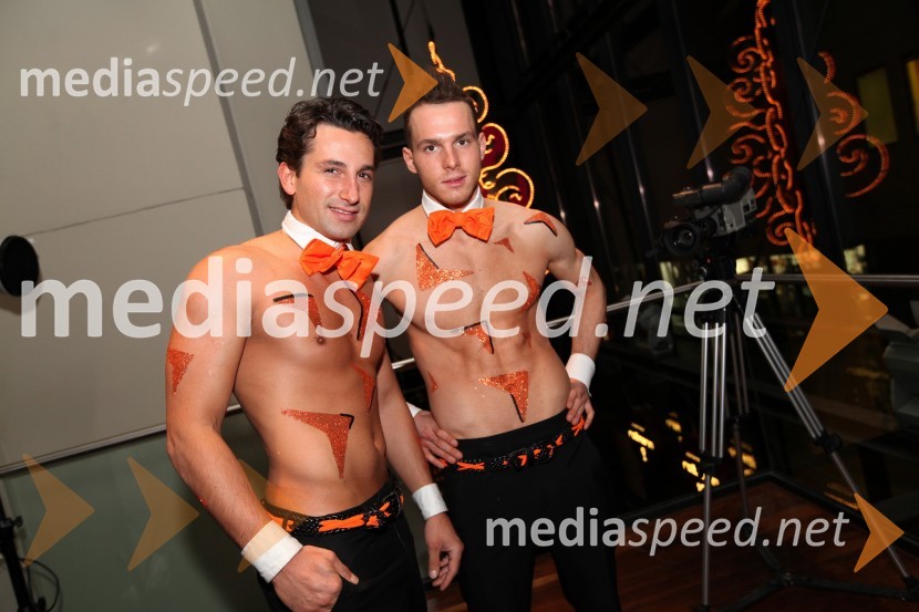 Mediaspeed zabava 2012