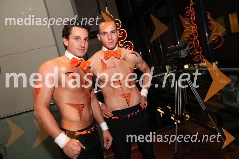Mediaspeed zabava 2012