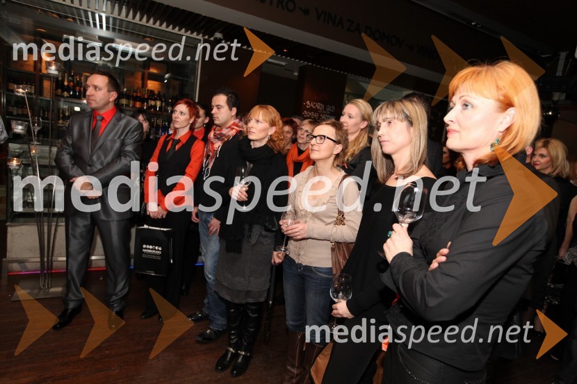 Mediaspeed zabava 2012