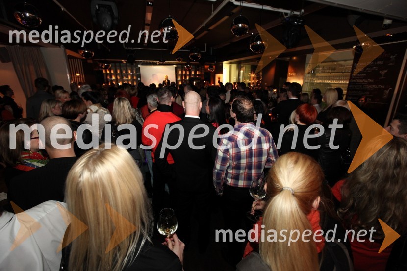Mediaspeed zabava 2012