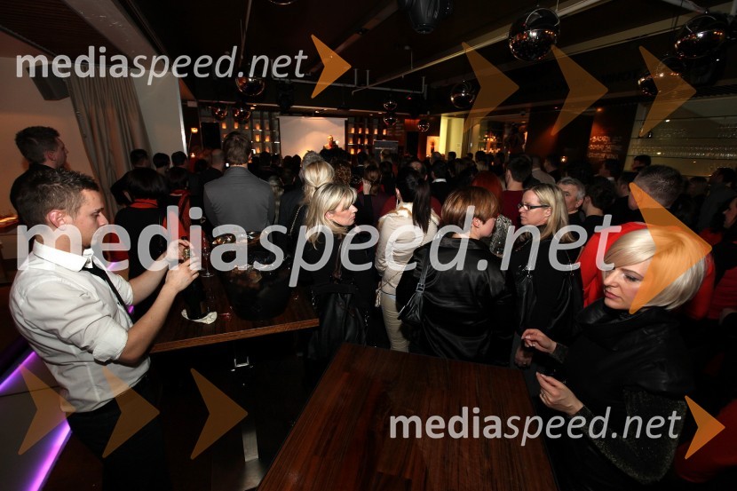 Mediaspeed zabava 2012