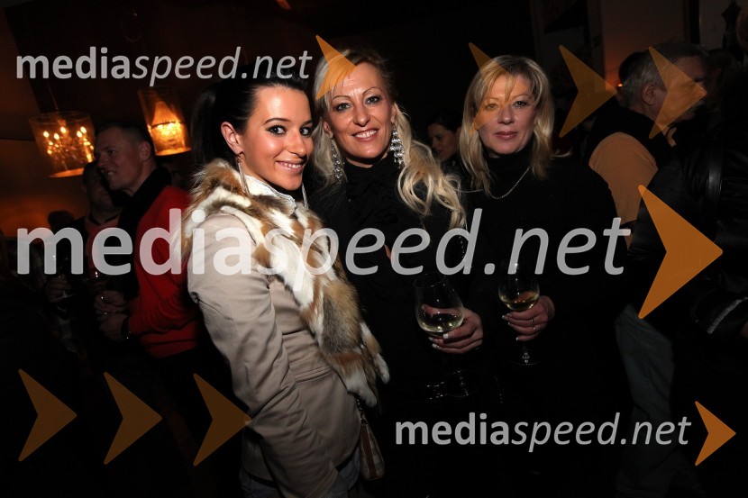 Mediaspeed zabava 2012