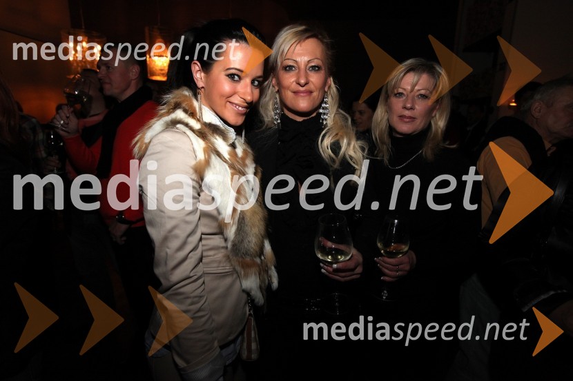 Mediaspeed zabava 2012