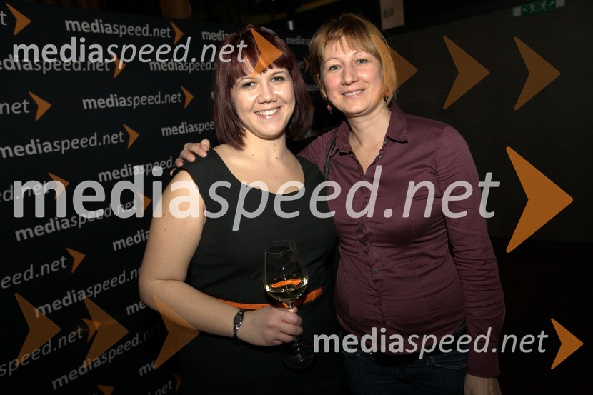 Mediaspeed zabava 2012