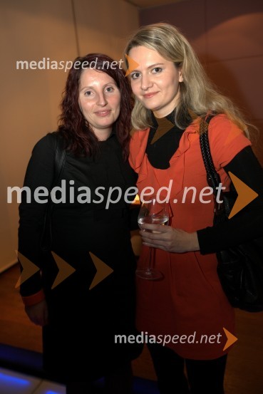 Mediaspeed zabava 2012
